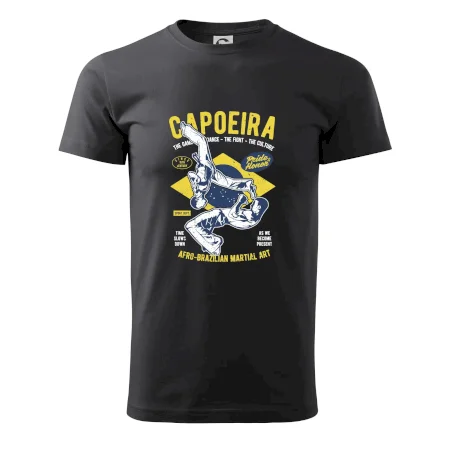 Capoeira  Afro-brazil art