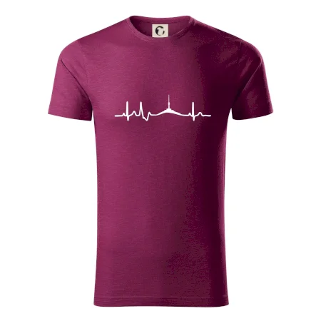 Ekg Jeseníky