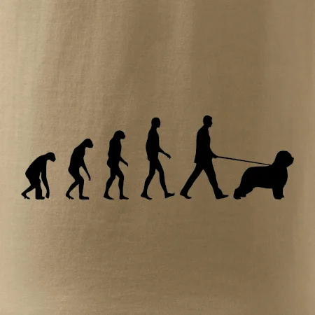 Evoluce pes Briard