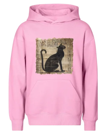 Egyptské hieroglyfy kočka
