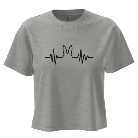 EKG zajíc
