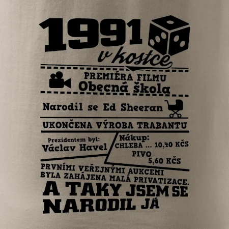 1991 v kostce