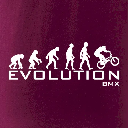 Evoluce BMX