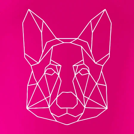 Německý ovčák - Geometrie