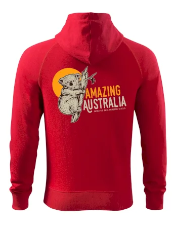 Amazing Australia koala