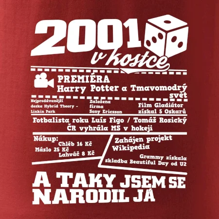 2001 v kostce