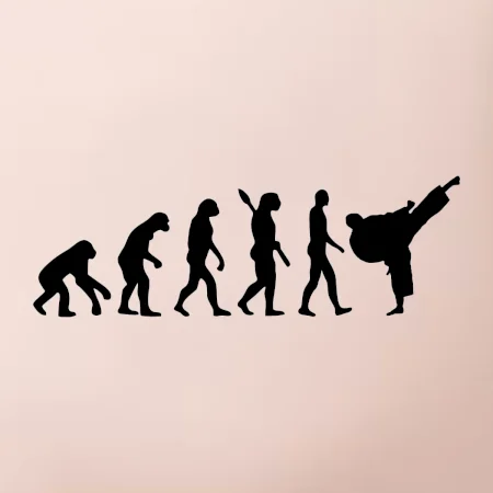 Karate Evoluce - kop