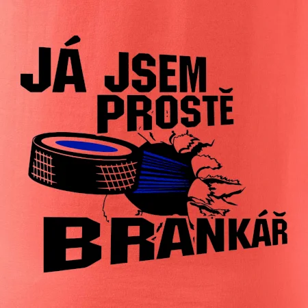 Ja jsem prostě brankář hokej
