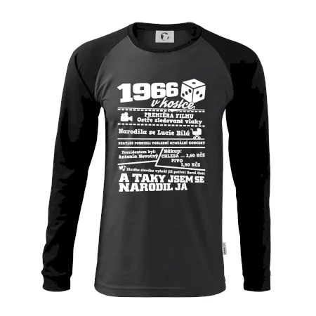 1966 v kostce