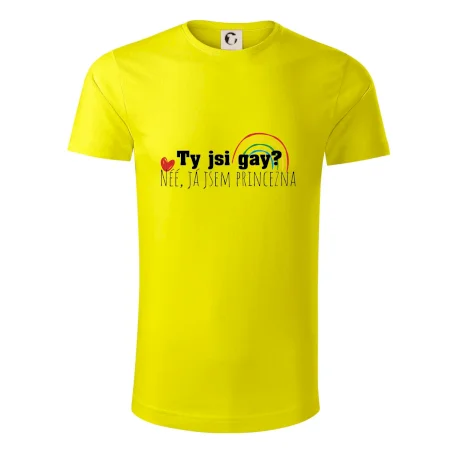 Gay princezna
