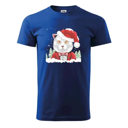 Santa kocour