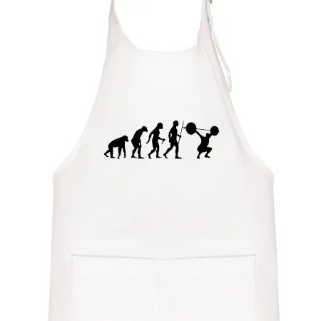Evolution fitness