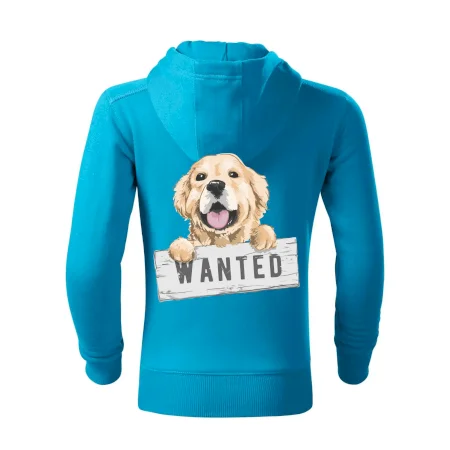 Zlatý retriever - štěně wanted