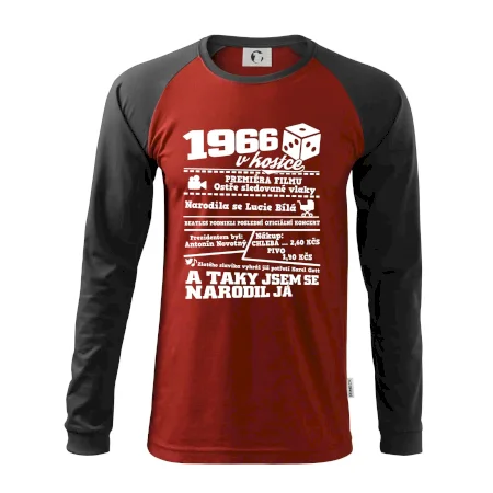 1966 v kostce