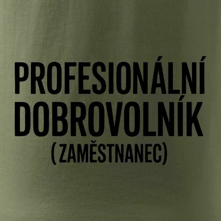 PROFESIONÁLNÍ DOBROVOLNÍK (zaměstnanec)