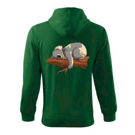 Koala na větvi