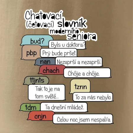 Chatovací slovník moderního seniora (Běžící češtinář)