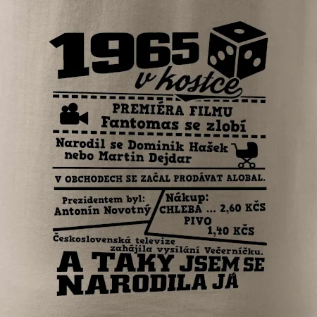 1965 v kostce