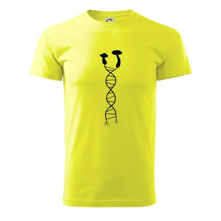 DNA houby