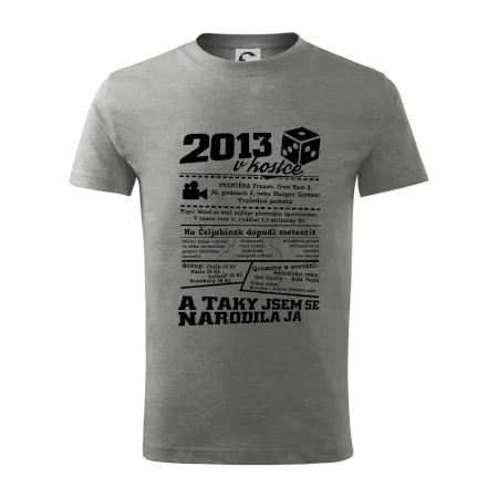 2013 v kostce
