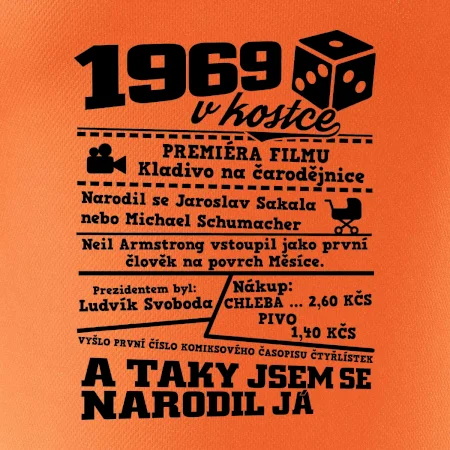 1969 v kostce