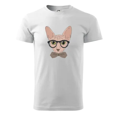 Hipster sphynx