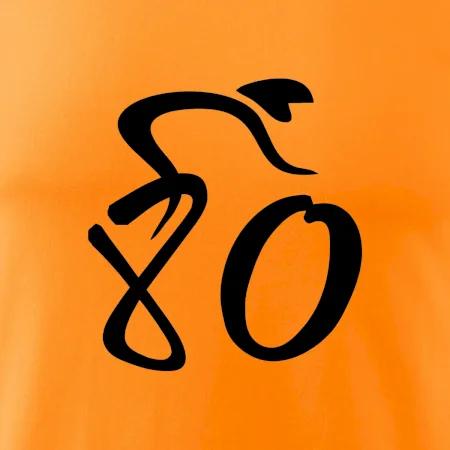 Cyklista slaví osmdesátiny (80)