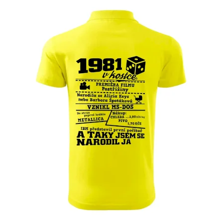 1981 v kostce