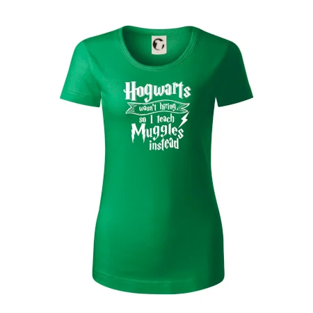 Harry - Hogwarts wasn’t hiring, so I teach Muggles instead