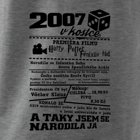 2007 v kostce