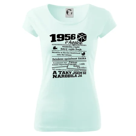 1956 v kostce