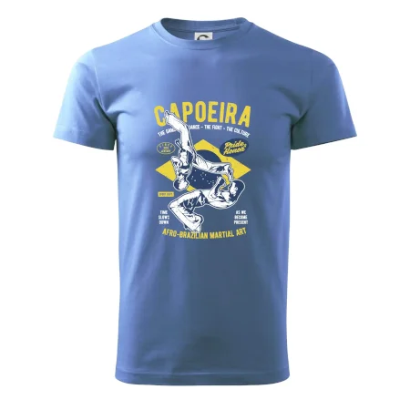 Capoeira  Afro-brazil art