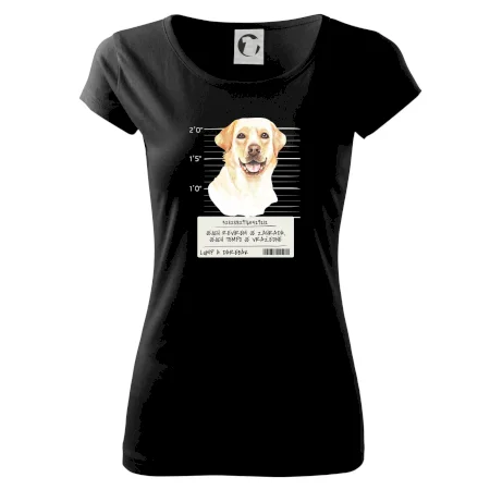 Lump a darebák labrador