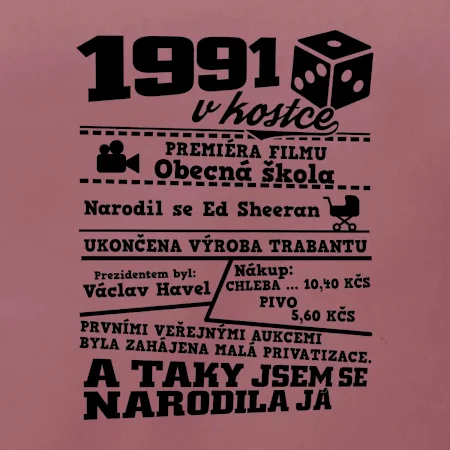 1991 v kostce