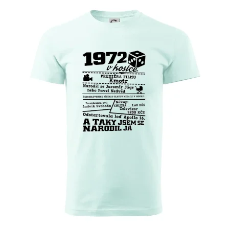 1972 v kostce