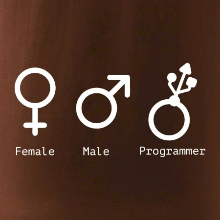 Female male programmer