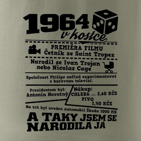 1964 v kostce