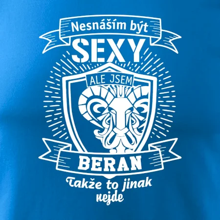 Nesnáším být tak skvělý - Beran