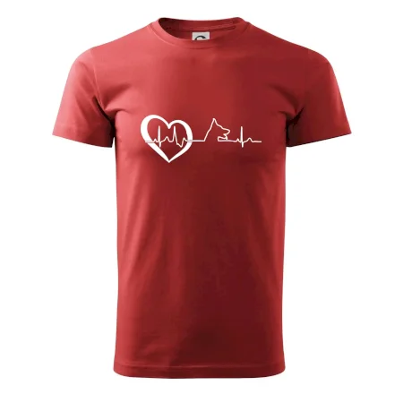 Německý ovčák ekg
