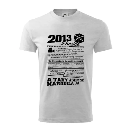 2013 v kostce