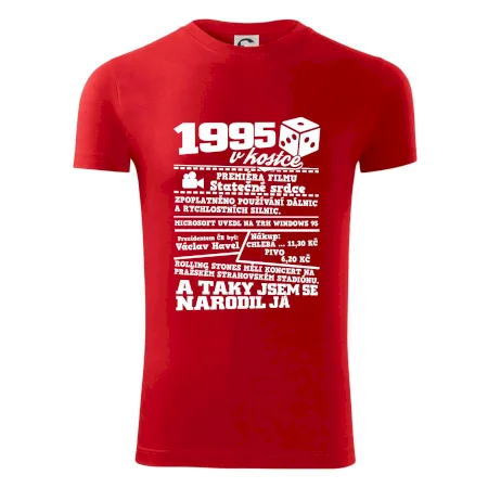 1995 v kostce