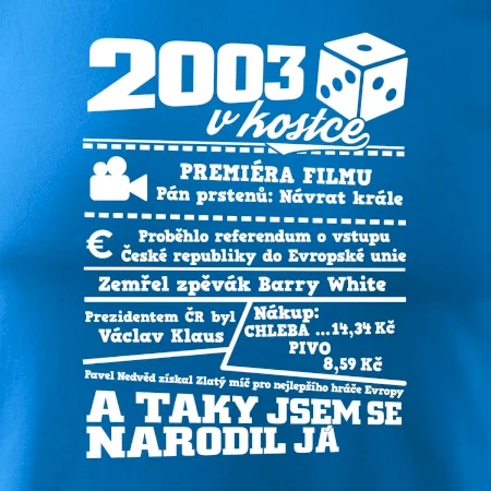 2003 v kostce