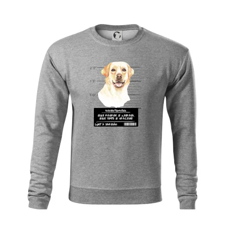 Lump a darebák labrador