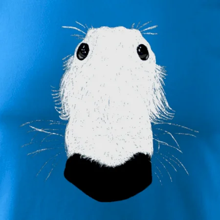 Barzoj čumák (Moňas)