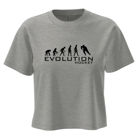 Evoluce Hockey - hráč