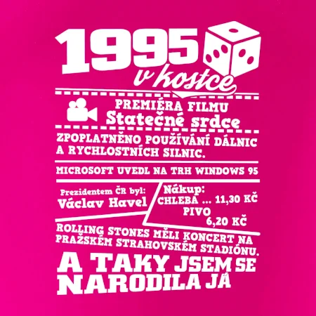 1995 v kostce