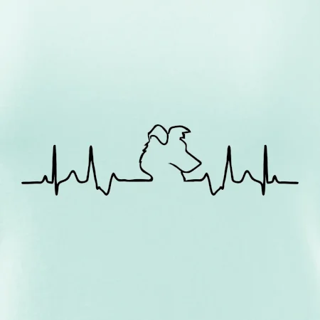 Border kolie EKG