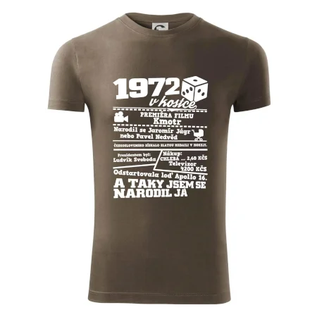 1972 v kostce