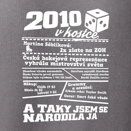 2010 v kostce
