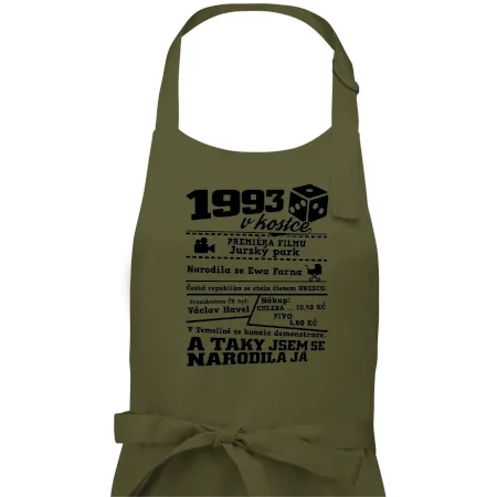 1993 v kostce